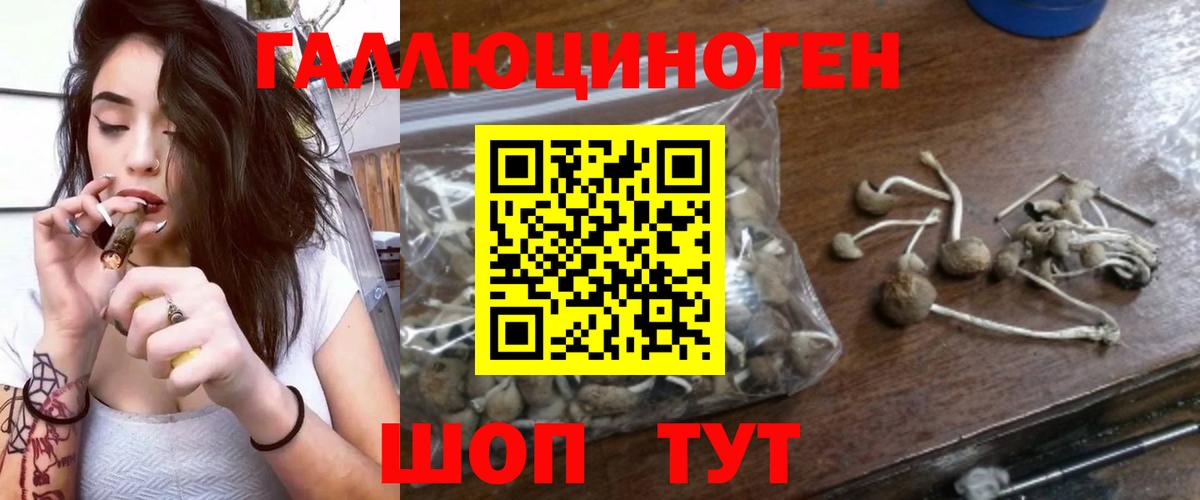 Галлюциногенные грибы Magic Shrooms Нальчик