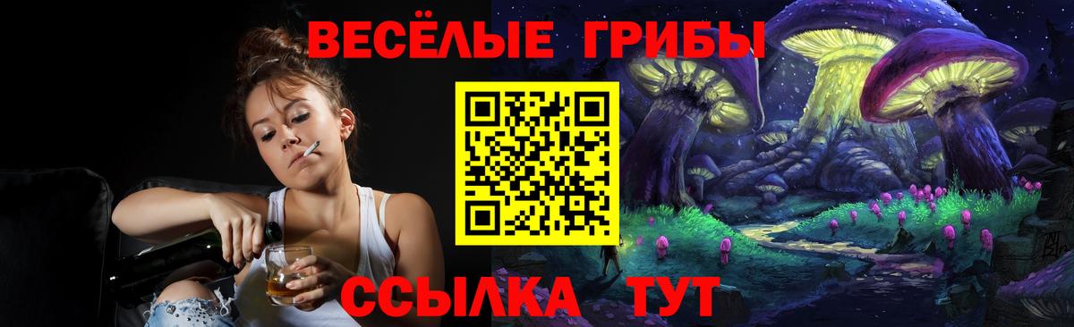 Нальчик  Галлюциногенные грибы Cubensis  Вход с VPN  Галлюциногенные грибы Psilocybine cubensis 
